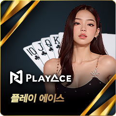 플레이 에이스 카지노